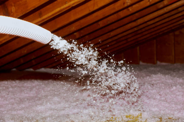 Best Crawl Space Insulation  in Las Lomas, CA