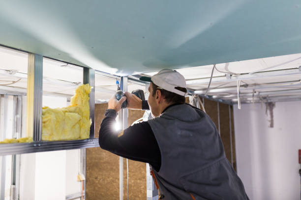 Professional Insulation Contractor in Las Lomas, CA