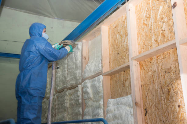 Best Attic Insulation Installation  in Las Lomas, CA